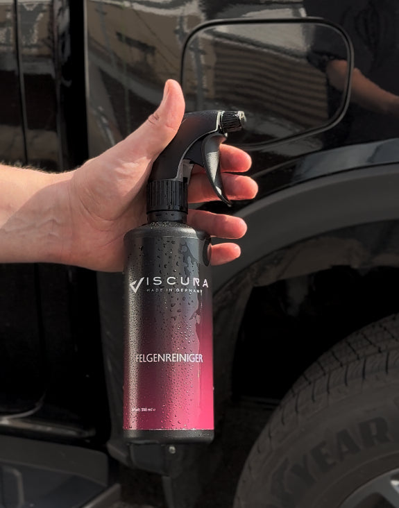 Felgenreiniger-in-hand