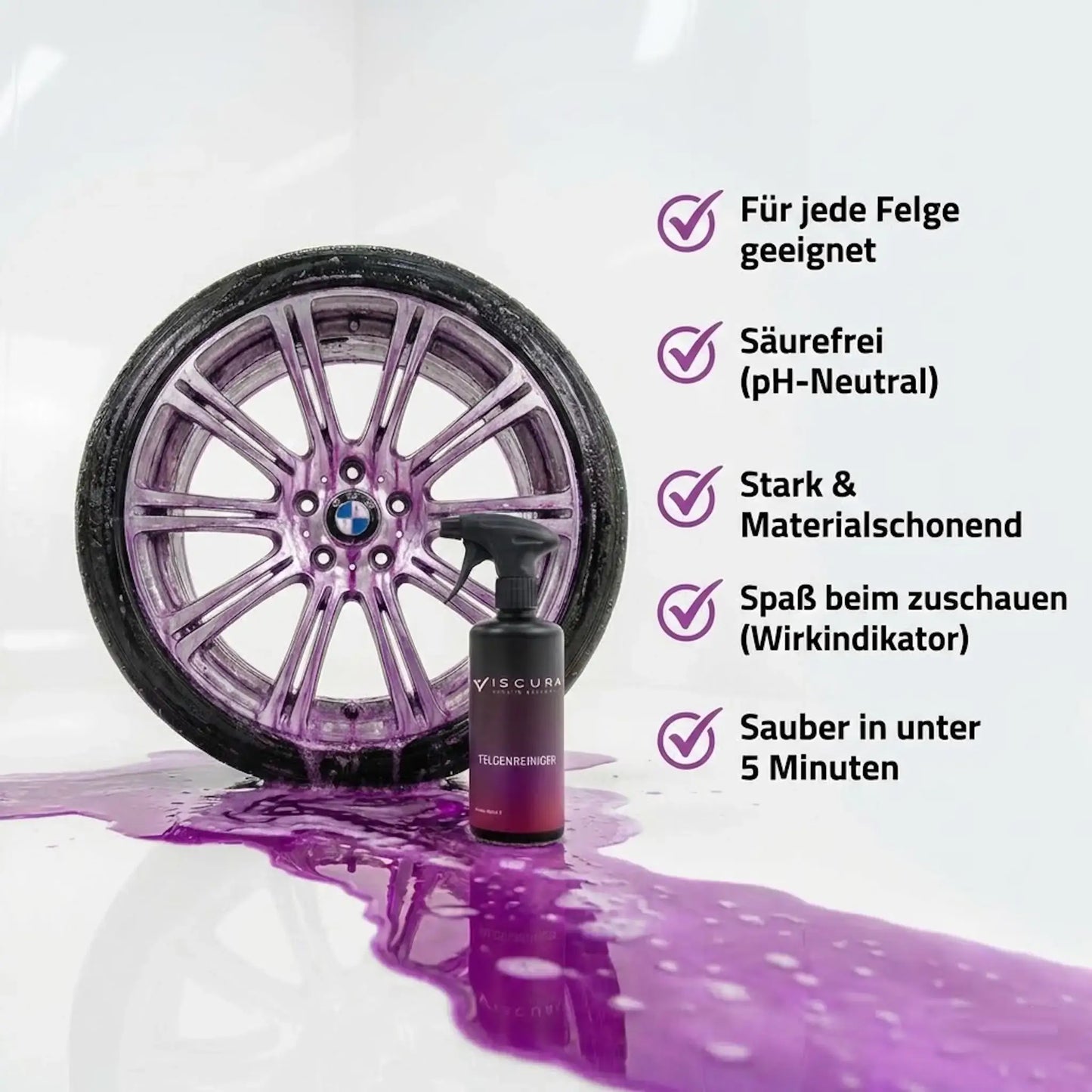 Frühjahrs Glanz Set