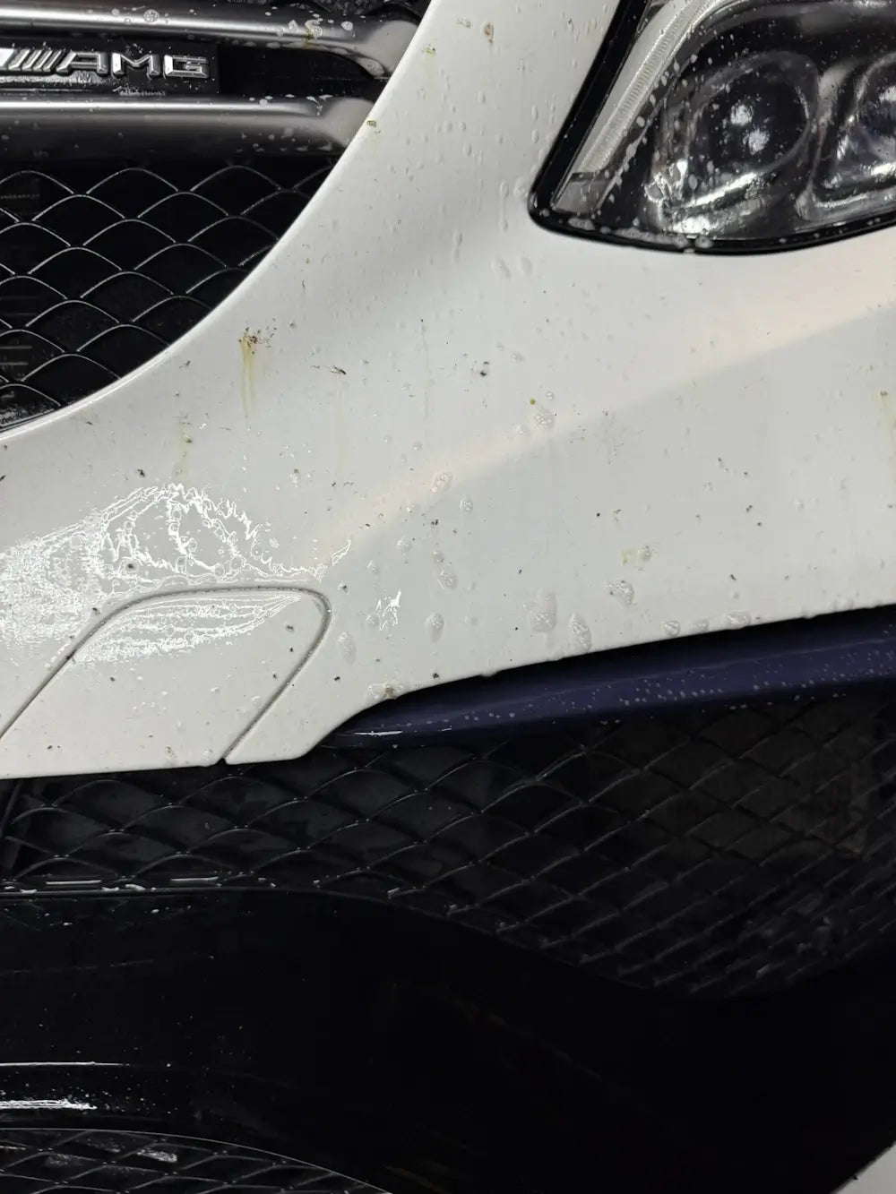 Insektenreste auf einem weißen Auto mit einer AMG-Frontpartie, die aus einem Viscura Insektenentferner gereinigt werden soll.