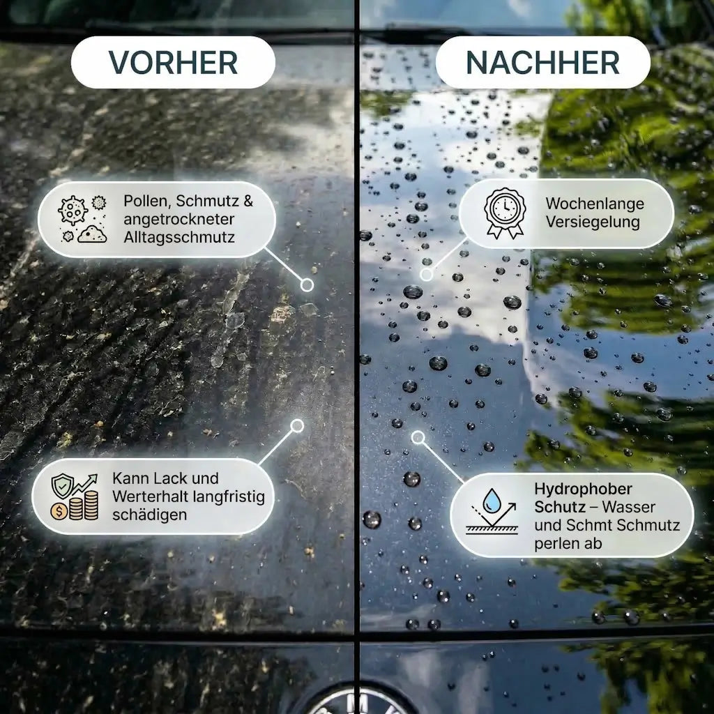 VISCURA Premium Oster Box – Glanz Edition - NEU